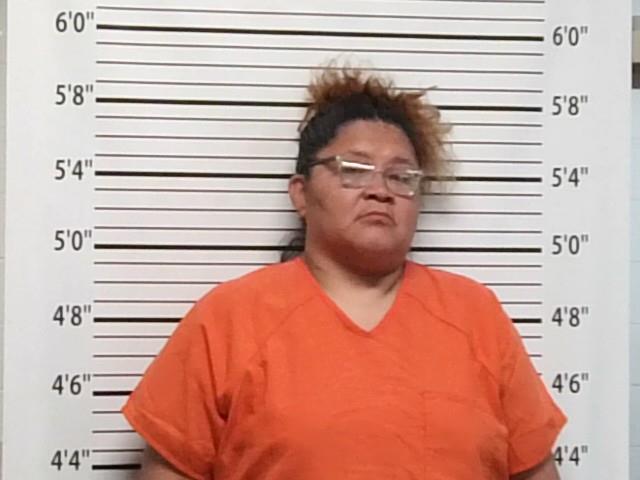 Mugshot of MEGAN RAELYN TWOHATCHET
