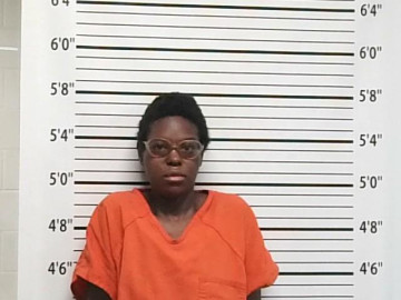 Mugshot of BREANNA JANAE WILLHOITE