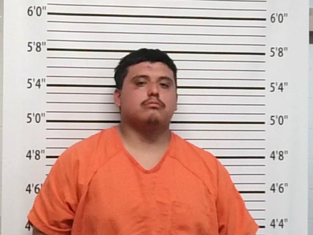 Mugshot of TRAVIAN HUNTER PARTON