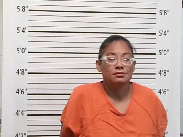 Mugshot of JESIRAE A VASQUEZ