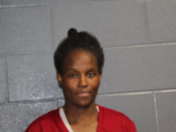 Mugshot of TURISCHEVIA JANERIA HARRIS