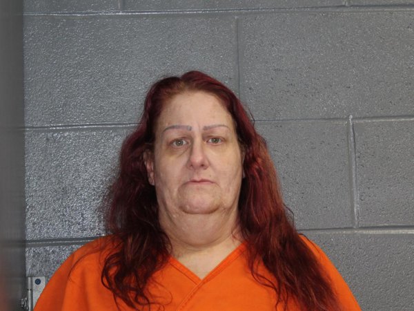 Mugshot of MELISSA LEE KONO