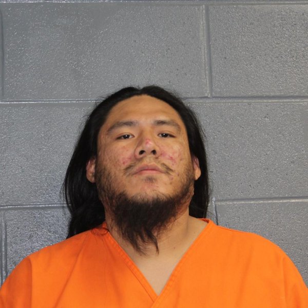 Mugshot of LOGAN REECE PRIMEAUX
