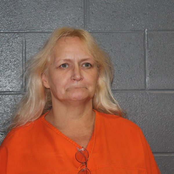Mugshot of DONNA DIANE SULLIVAN