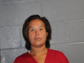 Mugshot of SANDRA KAY MEAT