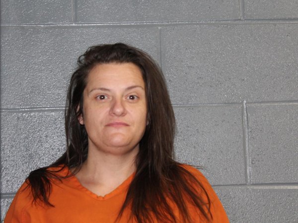 Mugshot of MEGAN ELIZABETH GILMORE