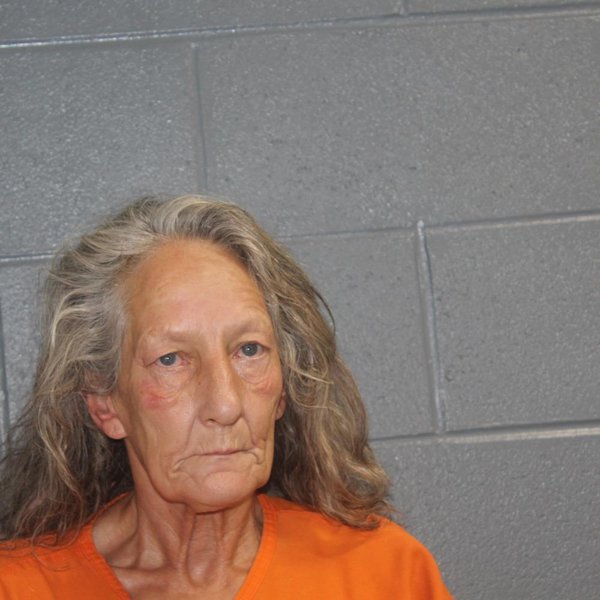 Mugshot of RHONDA GAIL MCCAIN