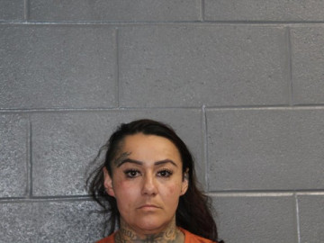 Mugshot of DANIELLE JULIA MONTANTEZ
