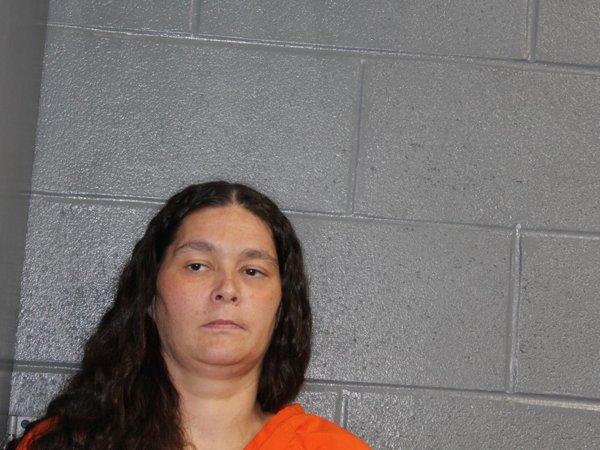 Mugshot of PATRICIA ANN RAVEN