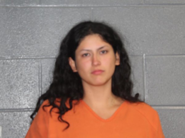 Mugshot of ERIKA JANELLE MENDEZ