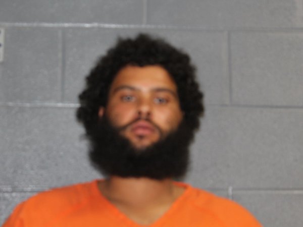 Mugshot of NICO ADAN VENEGAS