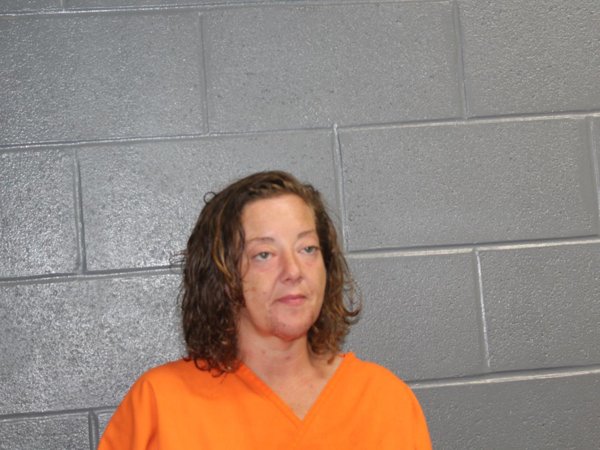 Mugshot of LISA ANN HARLIN