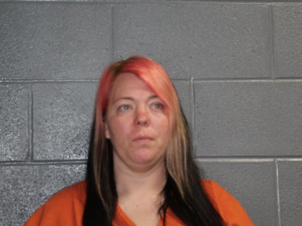 Mugshot of JESSICA LYNN WORNICK