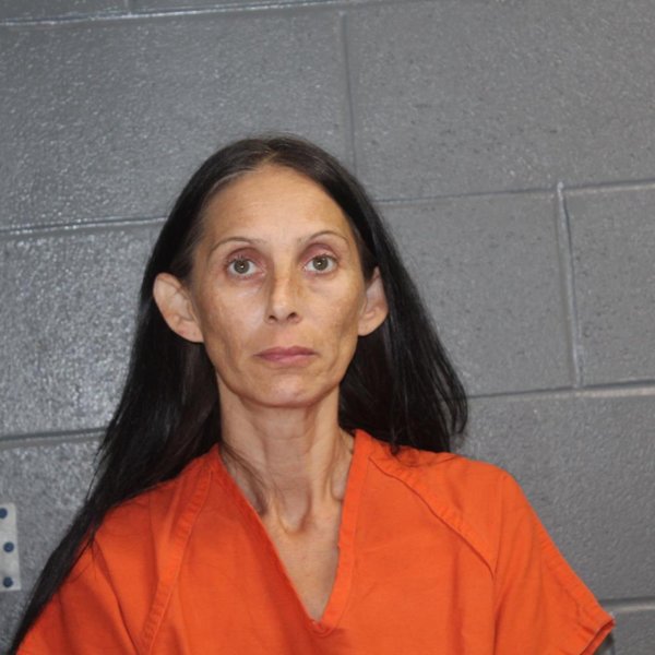 Mugshot of SANDIE DEBBIE COSTELLO