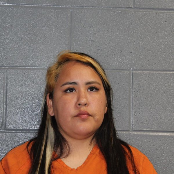 Mugshot of MICHELLE SHY ANN BLACK