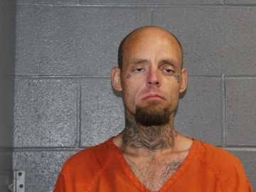 Mugshot of JAMES EDWARD MADISON