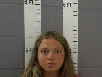 Mugshot of TENLEE SANDS