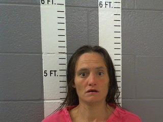 Mugshot of HEATHER DAWN PITTELKOW