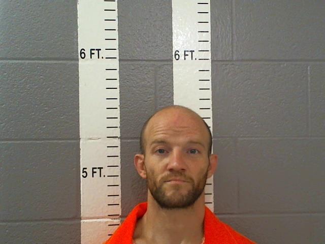 Mugshot of RYAN LEE WOOD