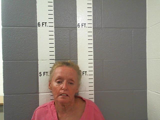 Mugshot of REBECCA ALANIS