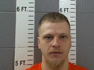 Mugshot of SEBASTIEN CHACE WOOD