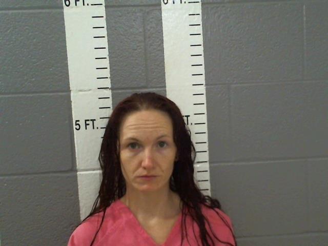 Mugshot of HAILEE BROOKS JOHNSON