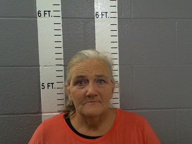 Mugshot of SHELLY LYNN FORSON