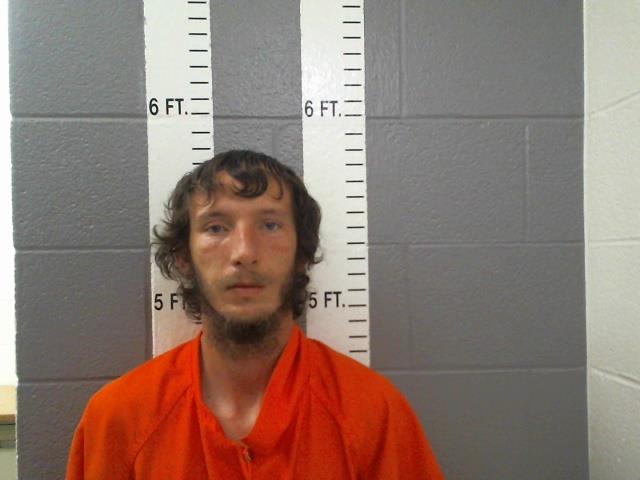 Mugshot of MICHAEL TANNER SKELTON