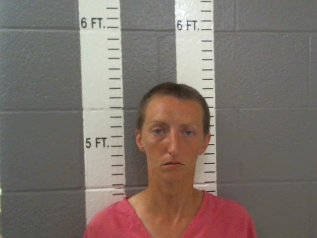 Mugshot of CHEALSEY ALYSS REEVES