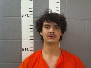 Mugshot of GAVIN MATTHEW NICHOLS