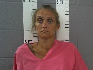 Mugshot of DANIELLE D DUNCAN