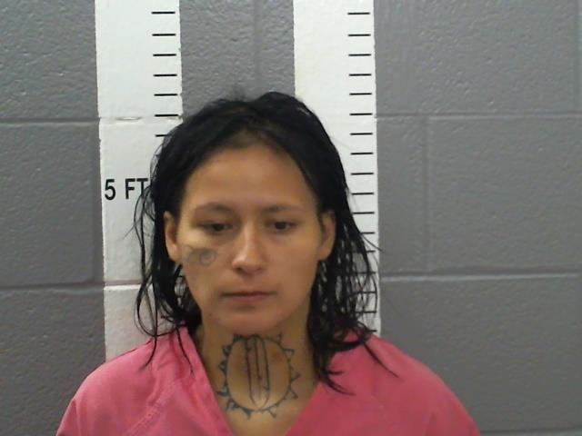 Mugshot of DANIELLE LARAY CRUSE