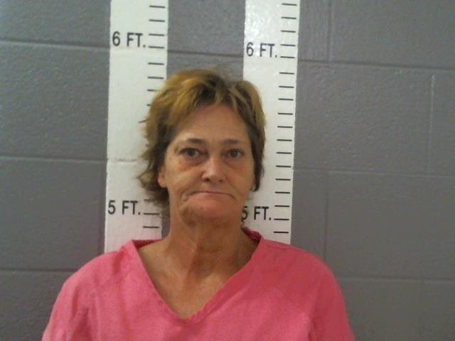 Mugshot of SHANNON LOUISE FOWLER