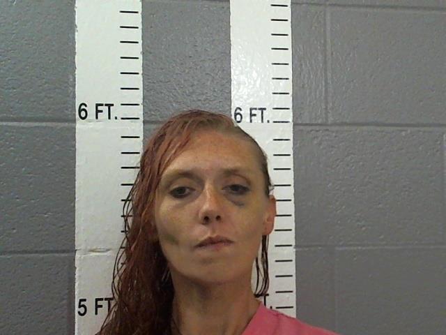 Mugshot of EMILY ELAINE LEE