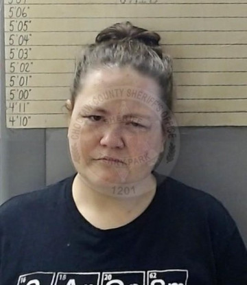 Mugshot of LATISHA LYNN WEBB