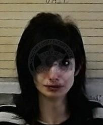 Mugshot of KYLA MIDDLETON