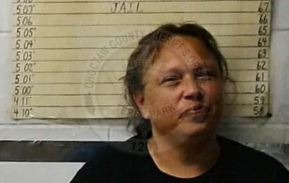 Mugshot of KATRINA MICHELLE COCHNAUER