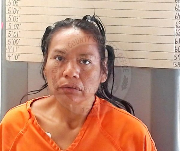 Mugshot of CESHA ANN TOM