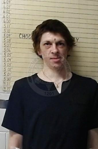Mugshot of MICHAEL VIRDEN