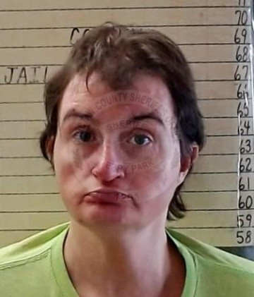 Mugshot of SYBIL MARIE RICE