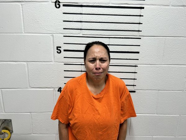 Mugshot of BRENDA MORALES