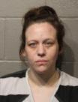 Mugshot of MEGAN RENEE FILES