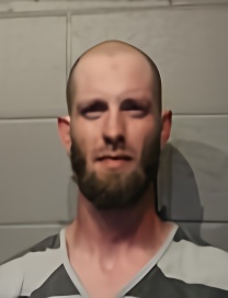 Mugshot of RYAN MICHAEL LEVINGSTON