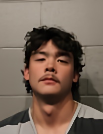 Mugshot of LOGAN COOPER MITCHELL