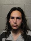 Mugshot of ZOE LEE WETSELLINE