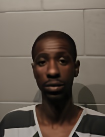 Mugshot of KENNETH BRANDON WATKINS