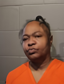 Mugshot of ANISA EVON THOMPSON