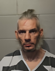 Mugshot of SHAWN D TOOLATE