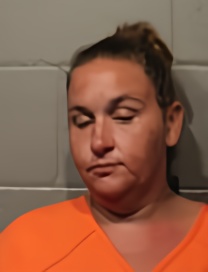 Mugshot of BROOK NIKOLE BILLS