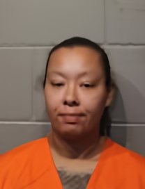 Mugshot of FELISHA LOZAINE BRISTOW